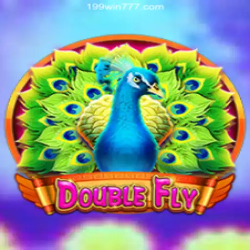 DoubleFly: A New Horizon in Online Casino Gaming